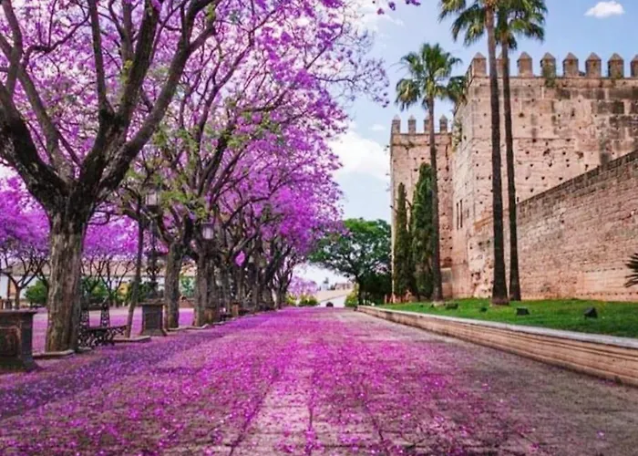 Sherryflat Atipika Daire