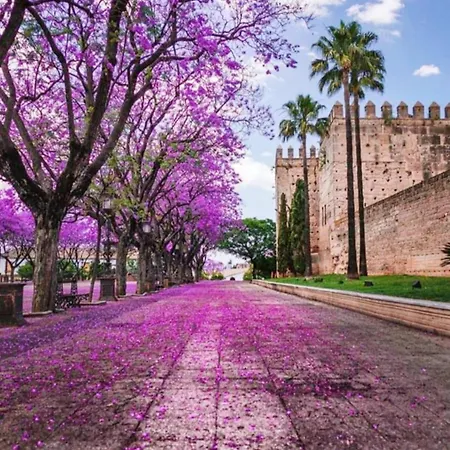 Sherryflat Atipika 公寓